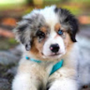 Meet your Posher, Bridgette